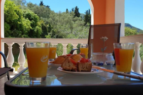 Calondri Apartment 2 in Achilleion Region